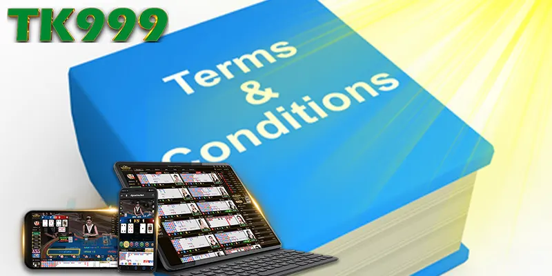 TERMS AND CONDITIONS