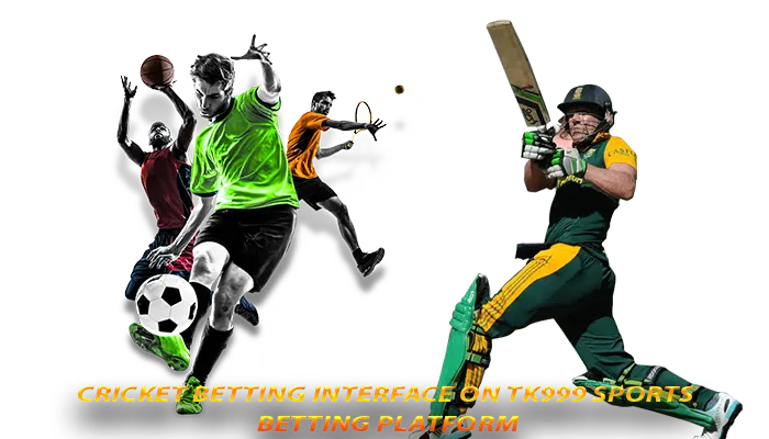 Cricket betting interface on TK999 sports betting platform
