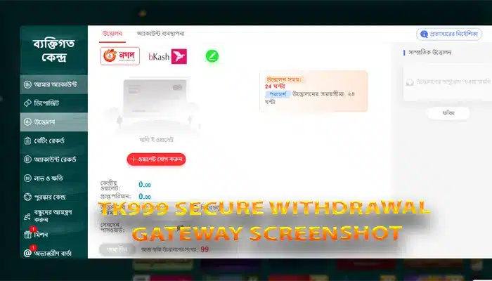 TK999 secure withdrawal gateway screenshot